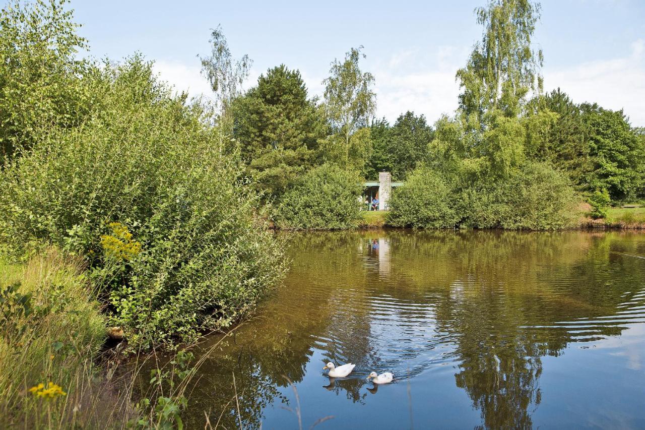Center Parcs Limburgse Peel Limburg-Brabant Hotel America Exterior photo